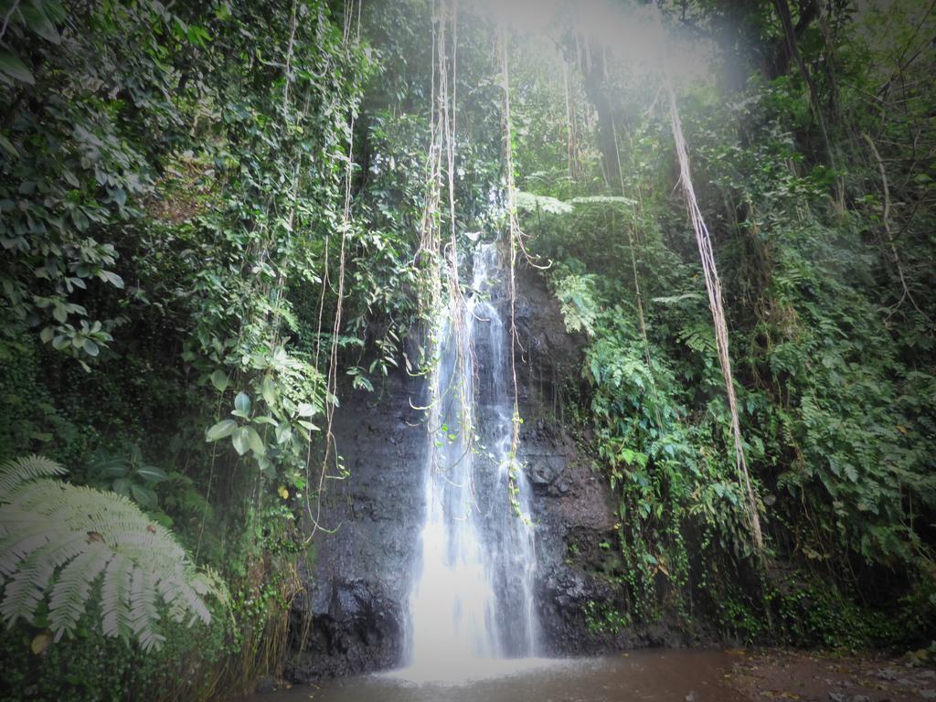 Cathelia Punaauia (Tahiti) Exterior foto